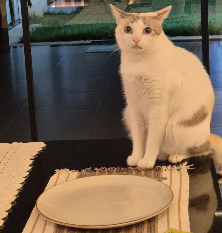 1 Ano de ração pra Hel Faminta!.